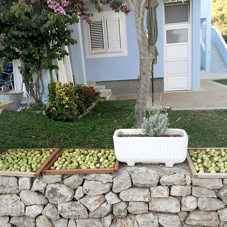 Apartman Pera Klein *