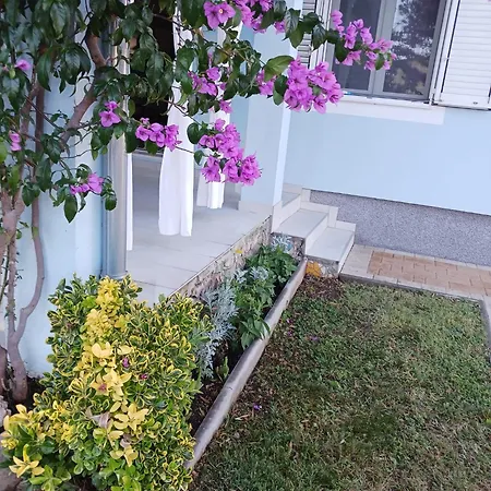 Pera Klein Vodice